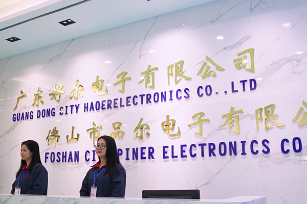 Guangdong Haoer Electronics Co., Ltd.: 전자 부품 전문 제조업체